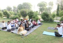 महाराणा प्रताप पार्क में भाजपा नगर मंडल ने मनाया अंतरराष्ट्रीय योग दिवस