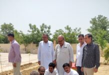 विश्व पर्यावरण दिवस पर भाजपा जिला कार्यालय में हुआ पौधारोपण