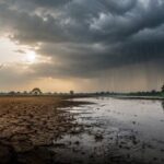 राजस्थान में मानसून कमजोर, खरीफ फसलों पर बढ़ी चिंता