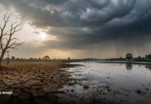 राजस्थान में मानसून कमजोर, खरीफ फसलों पर बढ़ी चिंता