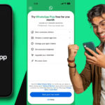 WhatsApp पर आया नया सब्सक्रिप्शन प्लान, जानिए कौन-कौन से फीचर्स होंगे अनलॉक