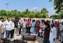 गौशाला में 1100 किलो हराचारा भेंट, ओमईश्वर बठला का किया भव्य अभिनंदन