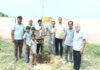 हरियालो राजस्थान अभियान के तहत मानव उत्थान सेवा समिति ने किया पौधारोपण