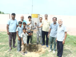 हरियालो राजस्थान अभियान के तहत मानव उत्थान सेवा समिति ने किया पौधारोपण