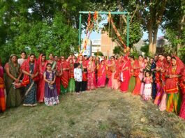 धूमधाम से मनाया हरियाली महोत्सव