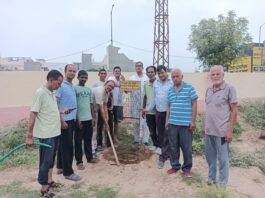 हरियालो महाअभियान के तहत मानव उत्थान सेवा समिति ने लगाए 35 पौधे