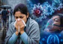 कोविड से कितना अलग है H1N1? स्वाइन फ्लू के बढ़ते मामलों के बीच समझें पूरा खतरा