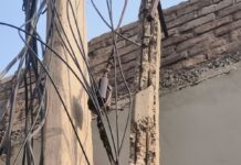 वार्ड 9 में बिजली व्यवस्था की बदहाली पर पार्षद मनप्रीत सिंह सैनी ने उठाई आवाज