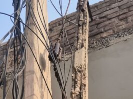 वार्ड 9 में बिजली व्यवस्था की बदहाली पर पार्षद मनप्रीत सिंह सैनी ने उठाई आवाज