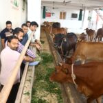 लॉयन्स क्लब हनुमानगढ़ सिटी ने फाटक गौशाला में की गौसेवा