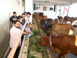 लॉयन्स क्लब हनुमानगढ़ सिटी ने फाटक गौशाला में की गौसेवा