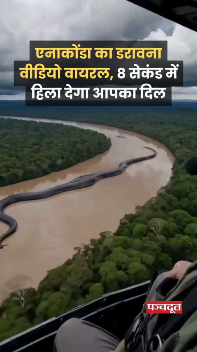 सोशल मीडिया पर एक वीडियो वायरल हुआ है जिसमें एक विशाल एनाकोंडा अमेजन के जंगलों में पानी में तैरता हुआ दिखाई दे रहा है।एनाकोंडा, दुनिया के सबसे भारी और ताकतवर सांपों में से एक है।

यह अमेजन और दक्षिण अमेरिका के कुछ हिस्सों में पाया जाता है और इसकी लंबाई 20 फीट से अधिक और वजन 90 किलोग्राम से अधिक हो सकता है। ये सांप आमतौर पर गीले और कीचड़ भरे इलाकों में रहते हैं, जैसे कि दलदल, छोटी नदियां या बाढ़ वाले क्षेत्र। 

यह वीडियो #Sheetal2242 नामक X (पूर्व में ट्विटर) अकाउंट से साझा किया गया था और इसे देखकर कई लोग हैरान रह गए। हालांकि, इस वीडियो की प्रामाणिकता को लेकर इंटरनेट पर बहस छिड़ गई है।

विशेषज्ञों और मीडिया रिपोर्ट्स के अनुसार, यह वीडियो वास्तविक नहीं है। यह संभवतः AI या CGI (कंप्यूटर जनित इमेजरी) की मदद से बनाया गया है। वीडियो की गुणवत्ता, कैमरा एंगल और जूम लेवल इतने परिपूर्ण हैं कि यह एक पेशेवर प्रोडक्शन जैसा प्रतीत होता है। इसके अलावा, वीडियो में कोई मेटाडेटा नहीं है जिससे यह पता चल सके कि यह कब और कहां शूट किया गया था। इससे यह संकेत मिलता है कि यह वीडियो पूरी तरह से डिजिटल रूप से निर्मित हो सकता है।

#anaconda #amazonriver #anacondavideo #viralvídeo #forests #wildanimal #panchdoot #panchdootnews 

[Anaconda, Amazon River, Viral Video]