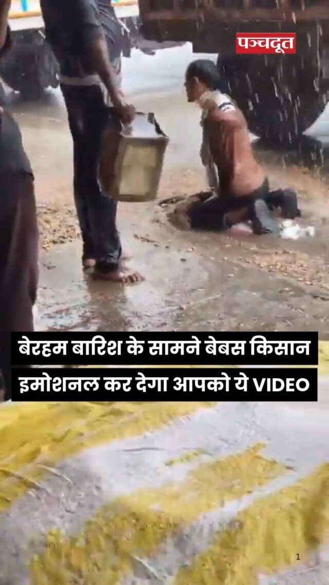 महाराष्ट्र के वाशिम जिले का एक वीडियो वायरल हो रहा है, जिसमें एक किसान बारिश के बीच अपनी मूंगफली की फसल को बहने से बचाने की कोशिश कर रहा है. दरअसल मानोरा बाजार समिति में किसान अपनी फसलें बेचने के लिए लाए थे. लेकिन अचानक तेज बारिश हो गई और फसल की सुरक्षा के लिए इंतजाम नहीं होने के कारण अनाज पूरी तरह भीग गया. 

#maharashtra #viralvídeo #farmers #agricultural #rain #rainyweather #panchdoot #panchdootnews